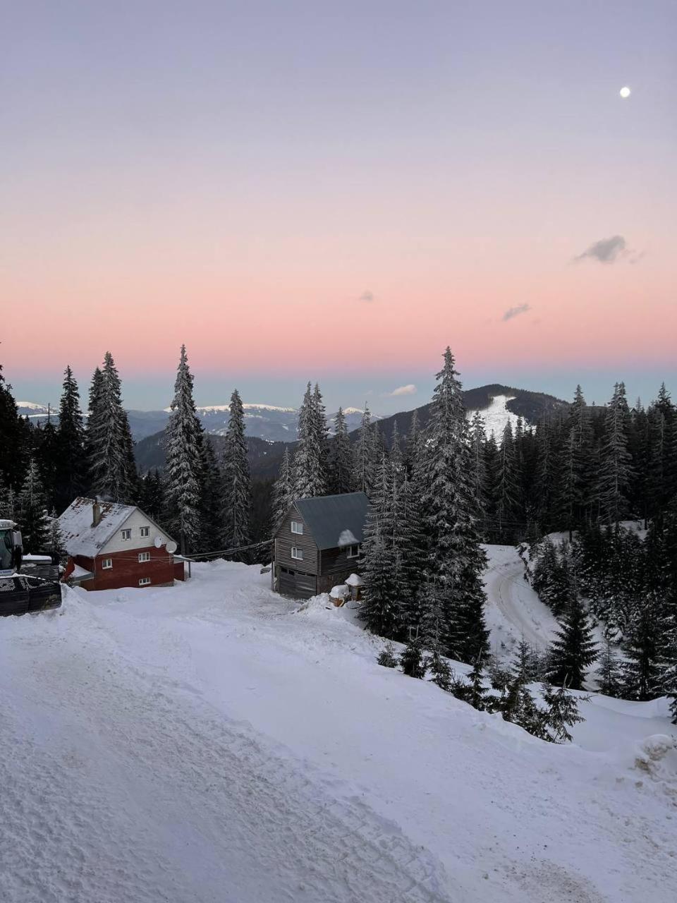 Vershyna Dragobrat Esterno foto